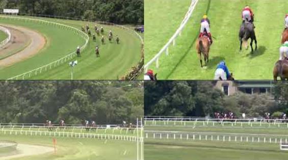 View video › View video ›