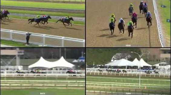 View video › View video ›