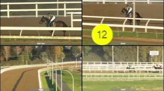 View video › View video ›