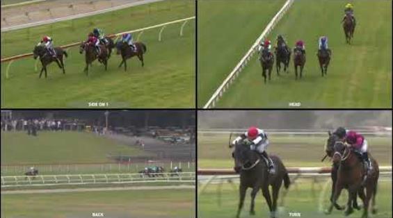 View video › View video ›