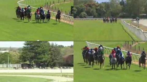 View video › View video ›