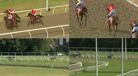 View video › View video ›