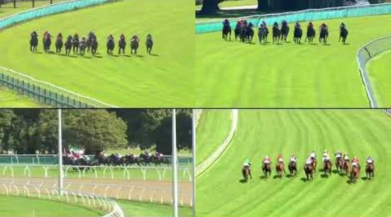 View video › View video ›