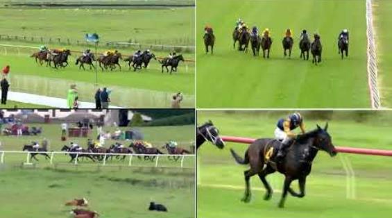 View video › View video ›