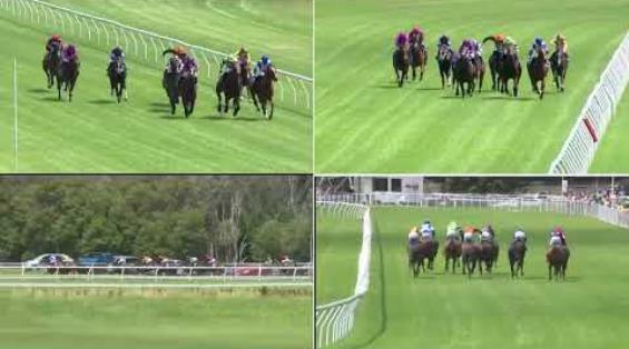 View video › View video ›