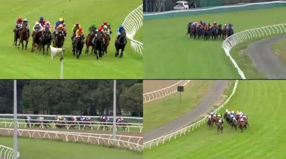 View video › View video ›