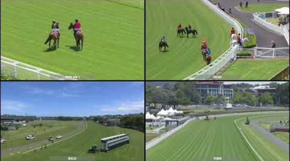 View video › View video ›