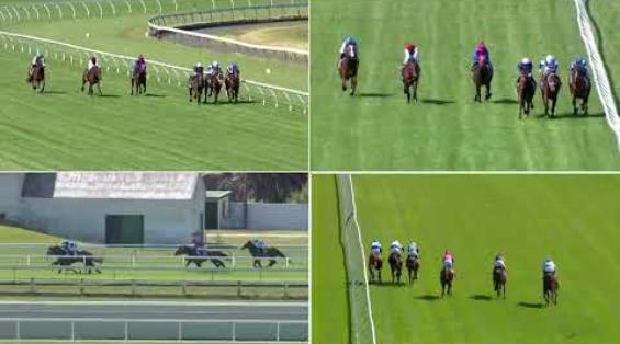 View video › View video ›