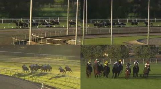 View video › View video ›