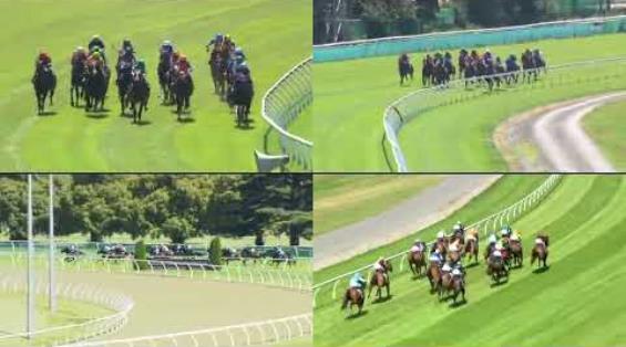 View video › View video ›