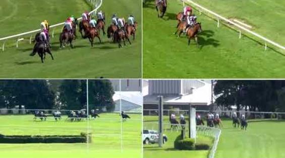 View video › View video ›