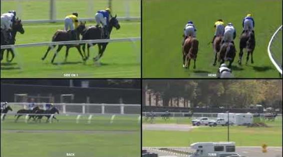 View video › View video ›