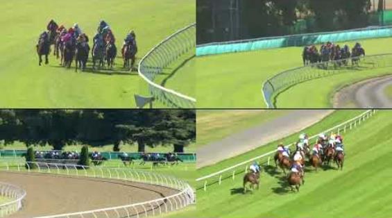 View video › View video ›