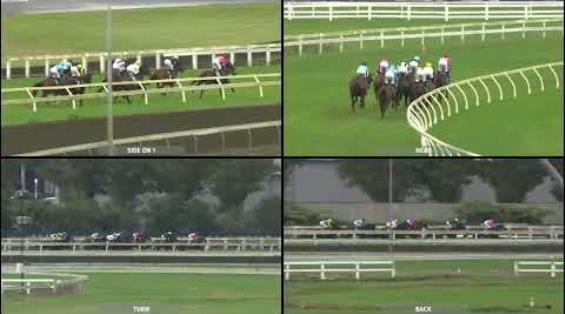 View video › View video ›