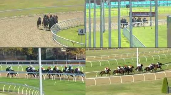 View video › View video ›