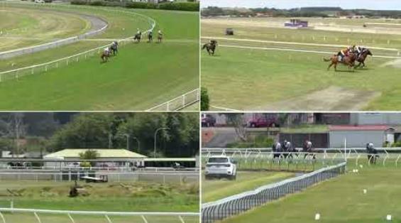 View video › View video ›