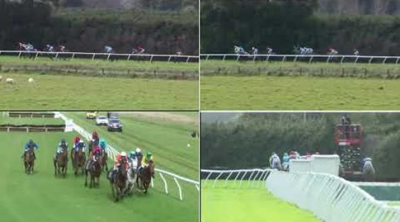 View video › View video ›