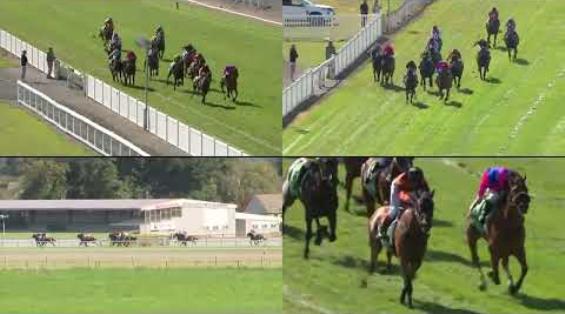 View video › View video ›