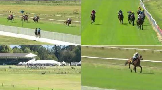 View video › View video ›