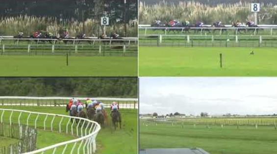 View video › View video ›