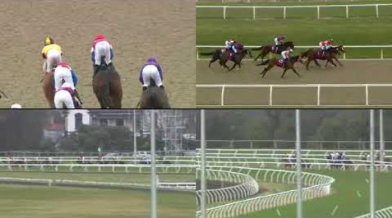 View video › View video ›