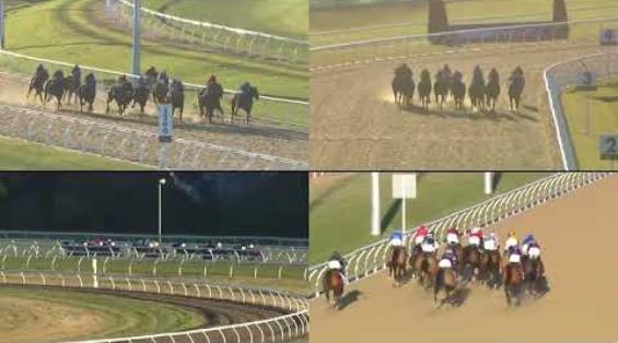 View video › View video ›