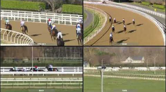 View video › View video ›