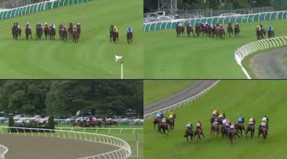 View video › View video ›