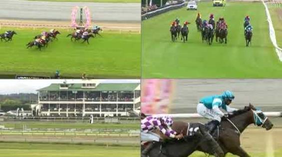 View video › View video ›