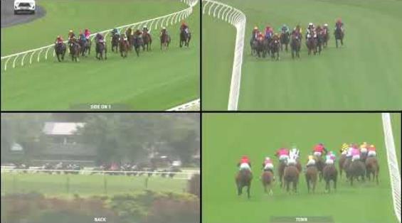 View video › View video ›