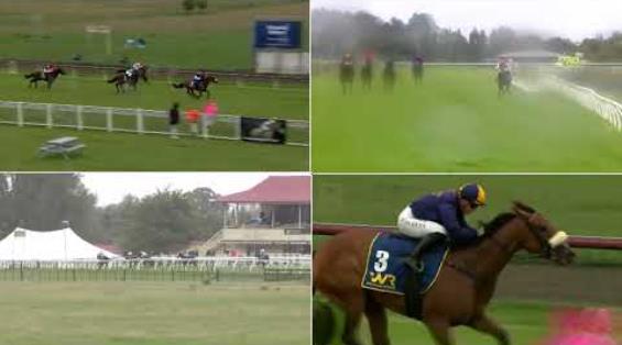 View video › View video ›