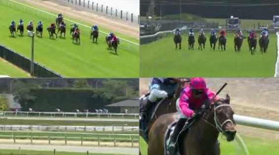 View video › View video ›