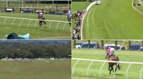 View video › View video ›