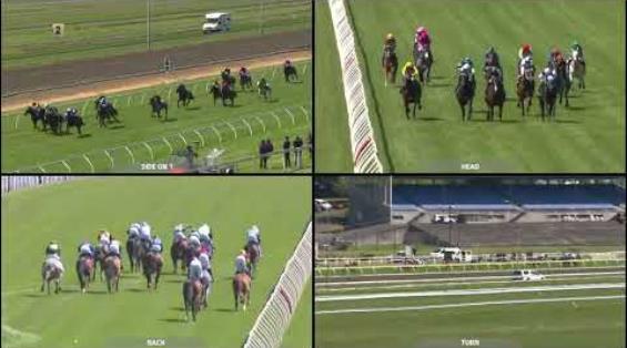 View video › View video ›