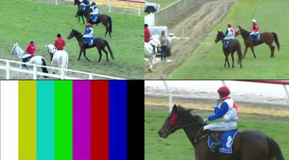 View video › View video ›