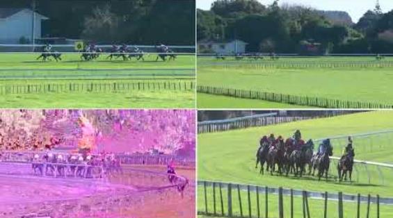 View video › View video ›