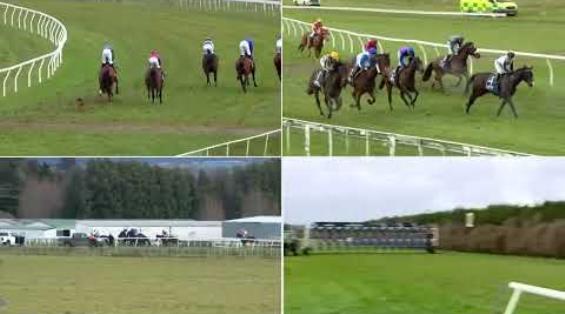 View video › View video ›