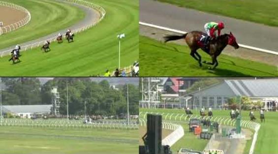 View video › View video ›