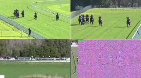 View video › View video ›