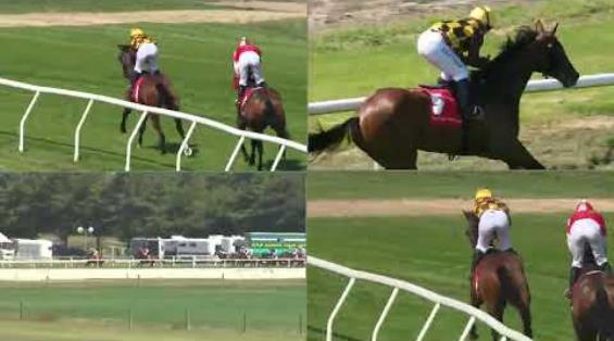 View video › View video ›