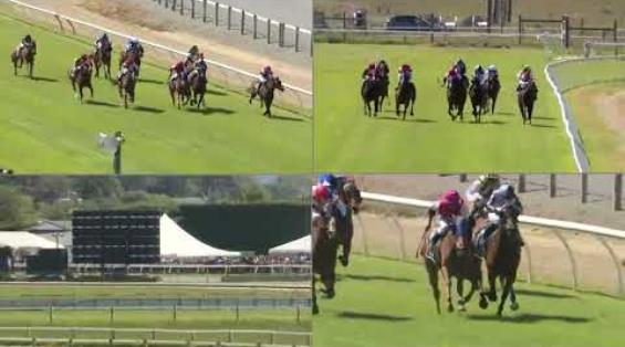 View video › View video ›