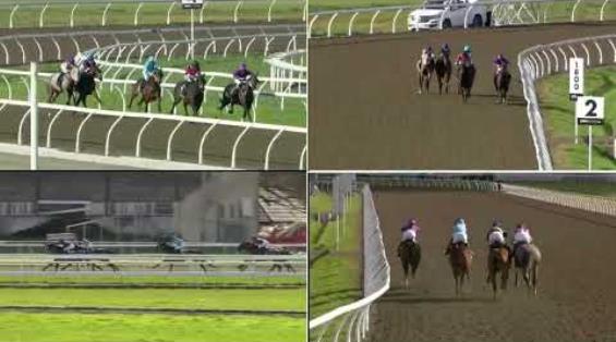 View video › View video ›