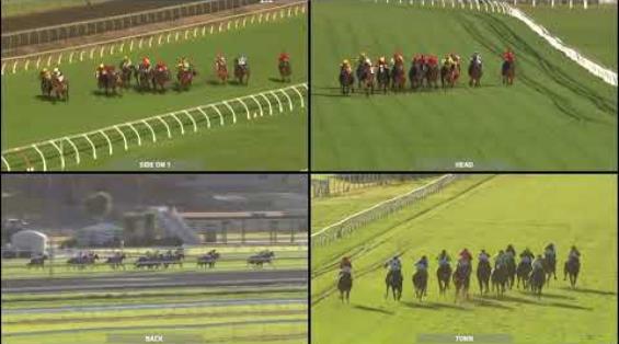 View video › View video ›