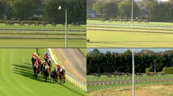 View video › View video ›