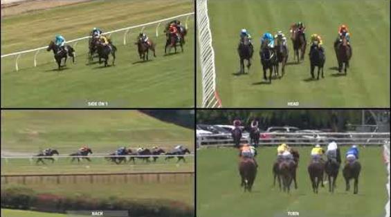 View video › View video ›