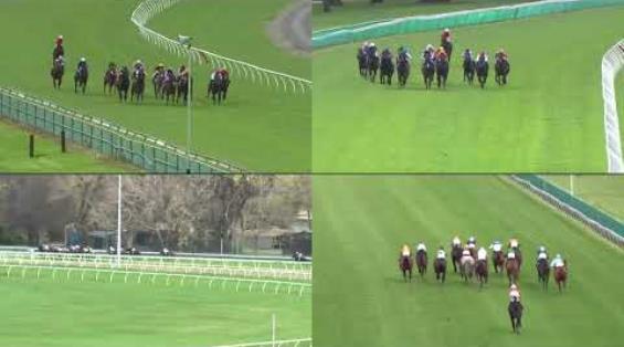 View video › View video ›