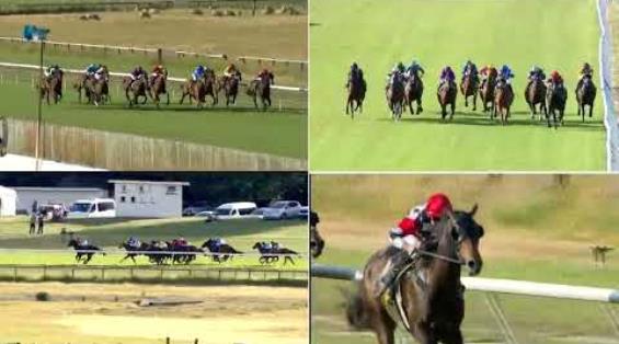 View video › View video ›