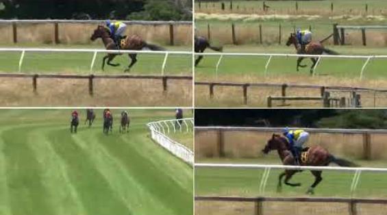 View video › View video ›