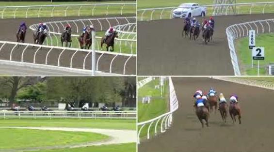 View video › View video ›