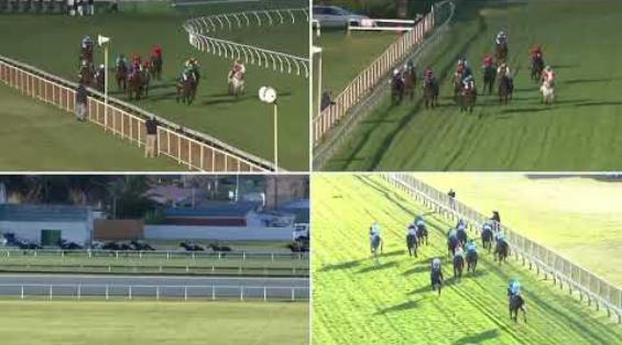 View video › View video ›